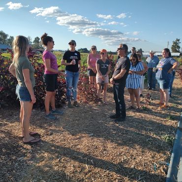 starting seeds workshop in progress