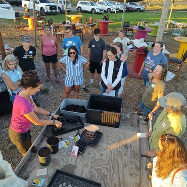 starting seeds workshop in progress
