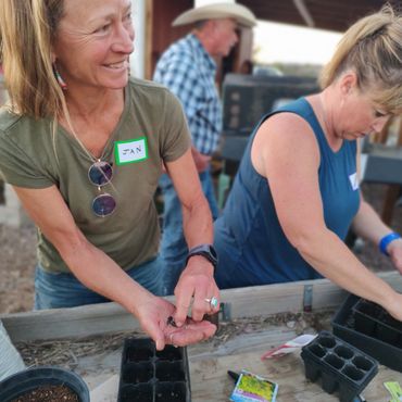 starting seeds workshop in progress
