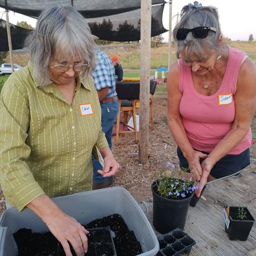 starting seeds workshop in progress