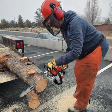 Chainsaw 101 workshop in progress