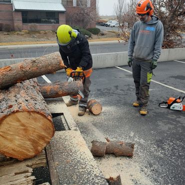 Chainsaw 101 workshop in progress