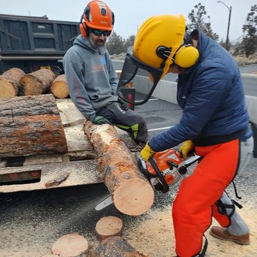 Chainsaw 101 workshop in progress