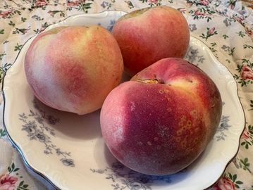 White Peaches from our peach trees