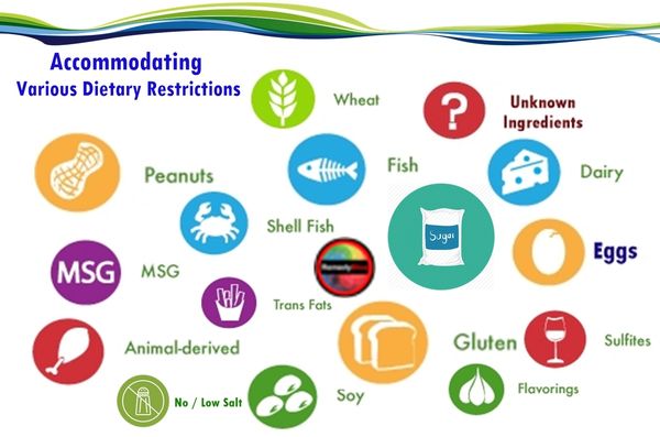 Accommodating Various Dietary Restrictions - Icons of Food Groups