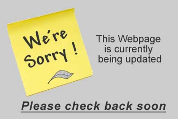Webpage upgrade  check back soon message image