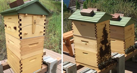Eden's Honey Quality - Flow® Hives