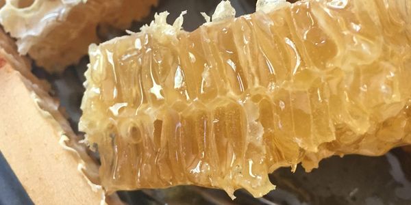 Eden's Honey Quality - Purity