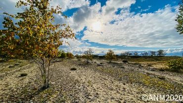 Harbor Springs, Michigan