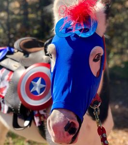 Our Pony is a Super Hero