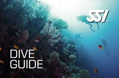Dive Guide Nitrox diving certification training