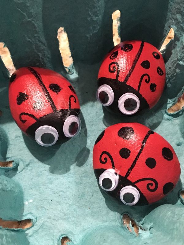 Ladybug Craft