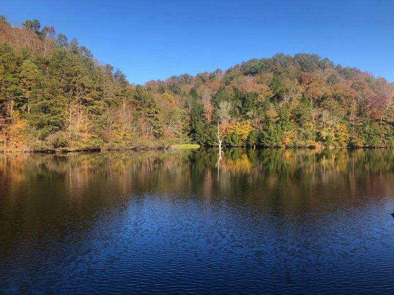 The perfect lake vacation awaits amongst the calming waters of Wood Creek Lake in Southeast Kentucky