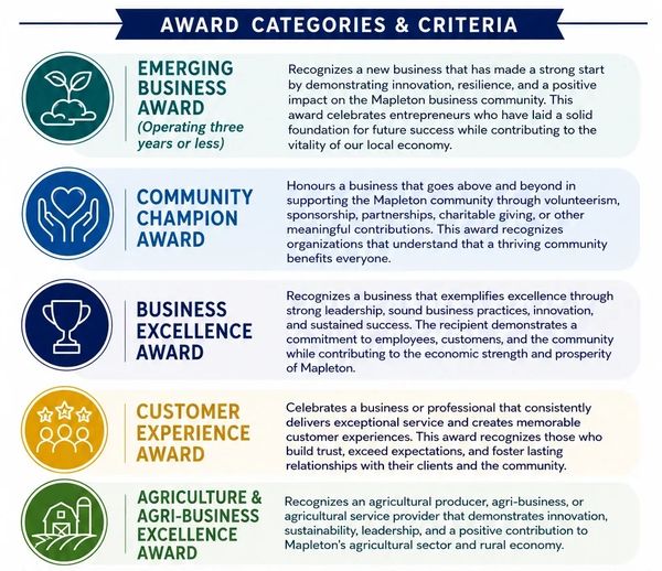 Summary of award categories and criteria for Mapleton businesses.
