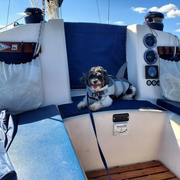 Brady (the boat dog) not included! :)