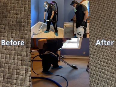 Carpet Cleaning