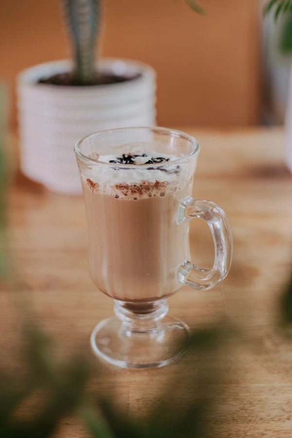 Our Monstera Madness Mocha