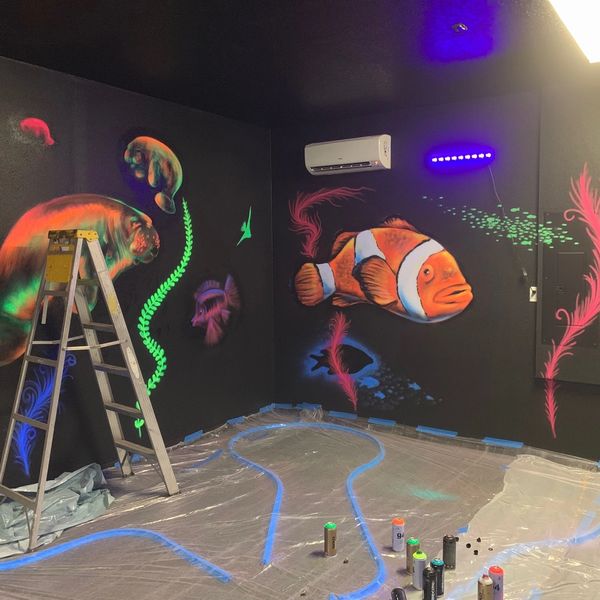 Custom Mural Painting- Horizon West Painting
custom murals
themed rooms
kids room
themed rental home