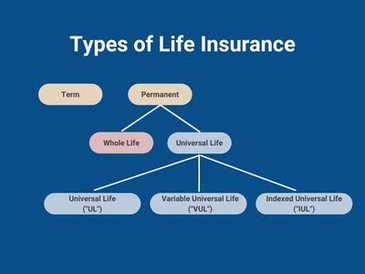 Organization chart of the different types of insurance