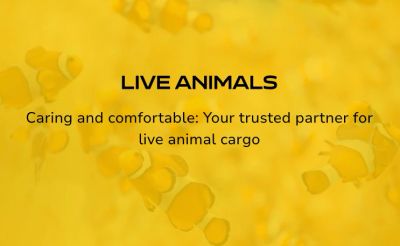 Live animals transported with care and comfort by trusted partners.