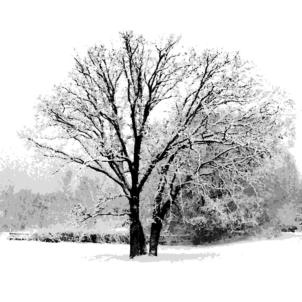 oak_trees_poster.jpg