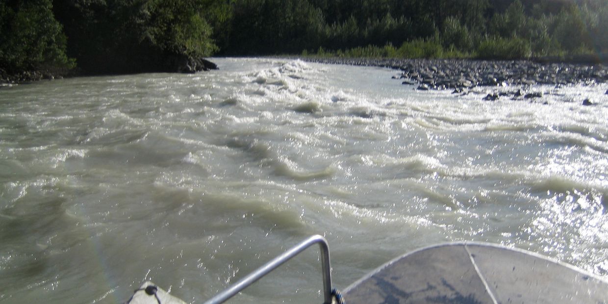 View from a boat navigating through a fast-flowing river surrounded by trees.