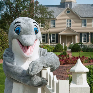 Dolphin mascot posed by gate in front of Cupola House, Edenton, NC