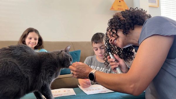 The Vets - A Client of The BCPR Group TV Segment