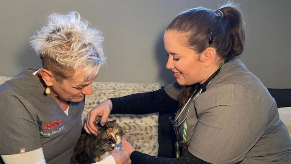 The Vets - A Client of The BCPR Group TV Segment