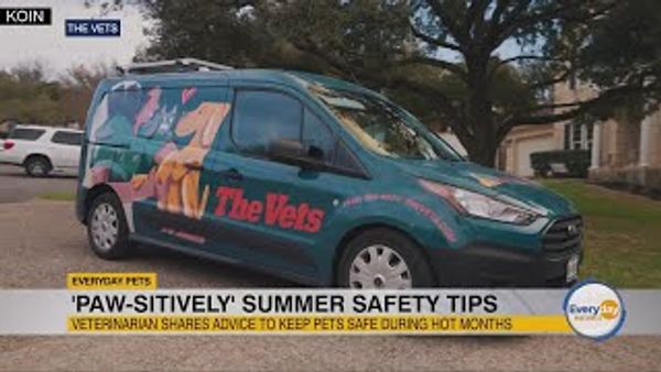 The Vets - A Client of The BCPR Group TV Segment on Pet Summer Safety Tips