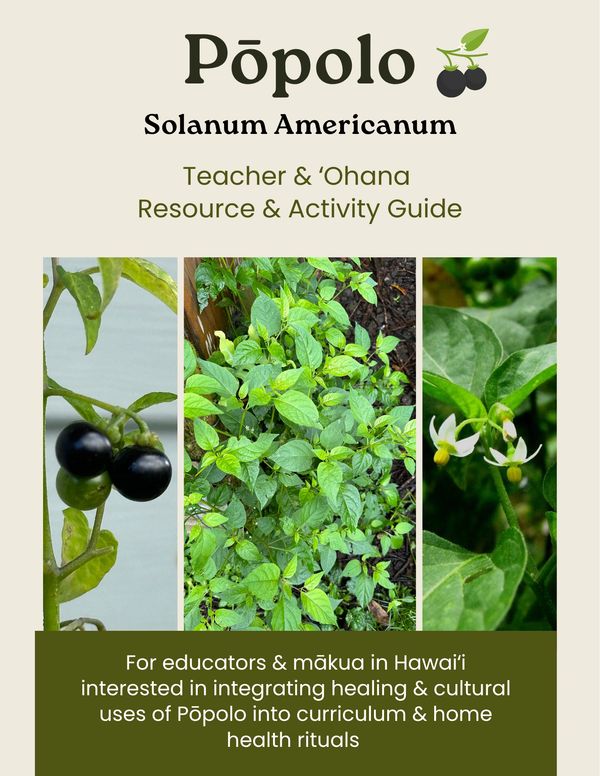 Educational guide on Pōpolo plant uses and healing practices in Hawai'i.