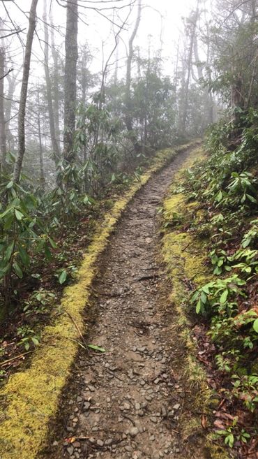 Hiking Solo on Serene Trail