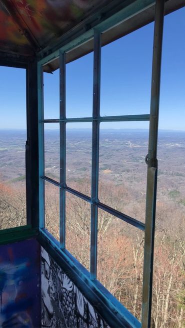 Fire Tower View