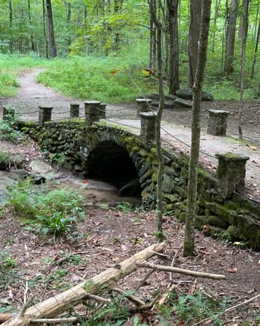 Troll Bridge