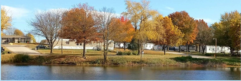 Colorful autumn trees by a calm lakeside in a suburban area.
