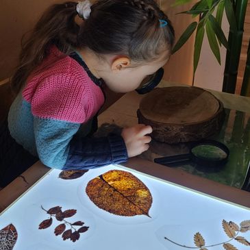 Early learning child exploring a tree artifact to learn about nature.