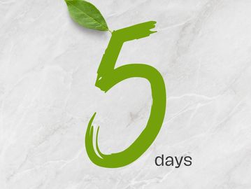 5 Day Salad Meal Plan Package