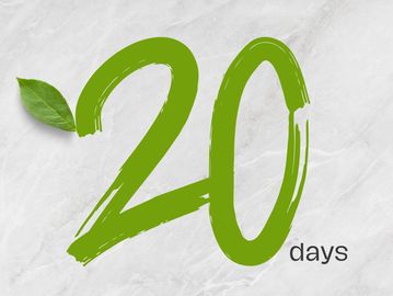 20 Day Salad Meal Plan Package from Saladicious