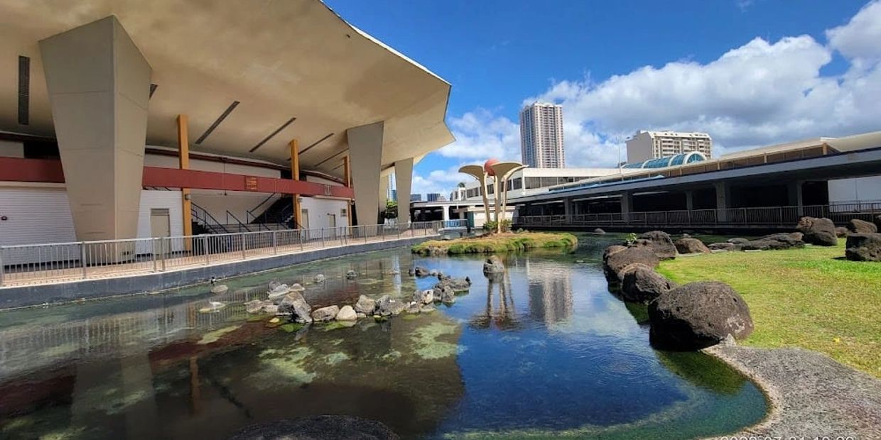 Modern building with a reflective pond and urban skyline under a blue sky.