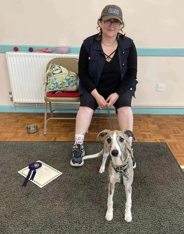 Young puppy Junimo passing puppy class
