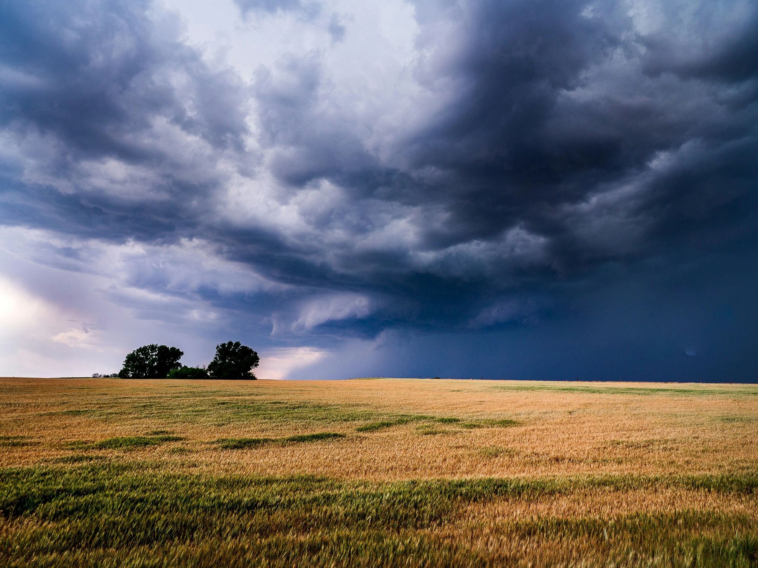 A stormy sky over a field of plains