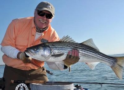 Dan Blanton, danblanton.com