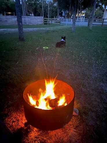 A campfire burning in a metal fire pit with a dog sitting on the grass in the background.