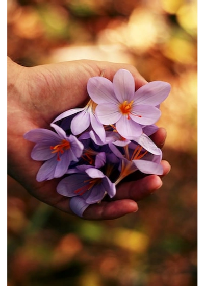 Tanzyus Logan Funeral Service and Care. Order from local florist.
keep economy local.