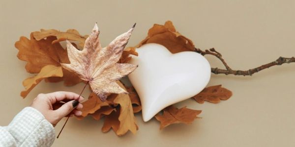 Tanzyus Logan Funeral Service and Care provides Compassionate Care for all the families it's serves.