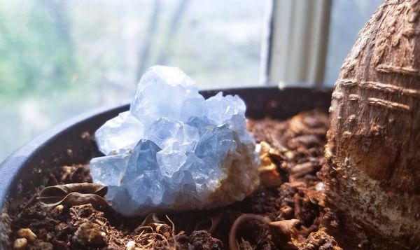Celestite is a serene crystal known for its gentle, calming energy, often used to enhance communicat