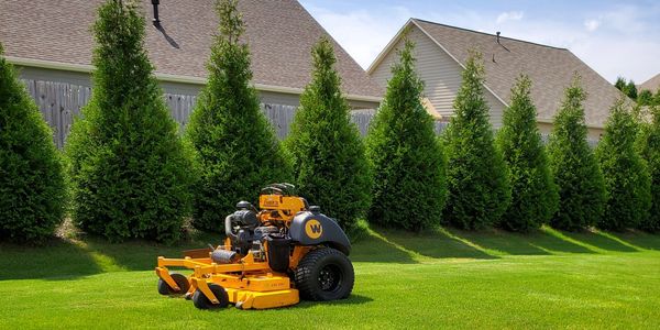 Lawn mowing