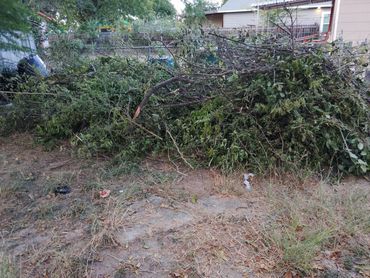 Yard debris