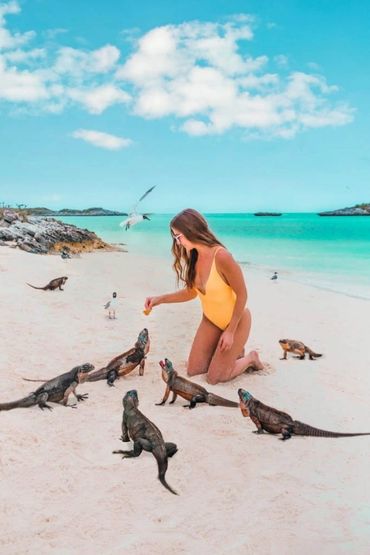 A woman in a yellow swimsuit feeding iguanas on a tropical beach.
