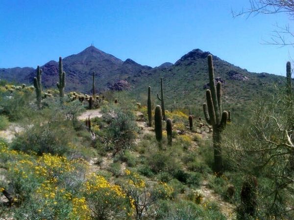 McDowell Mountain Reserve 